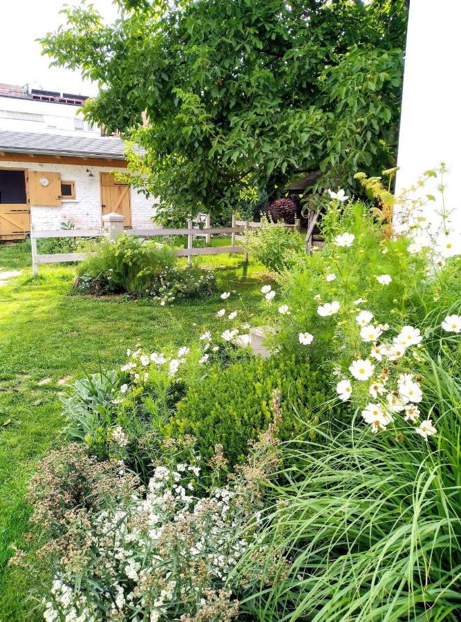 Apartamento Cozy Airport Vecsés Exterior foto
